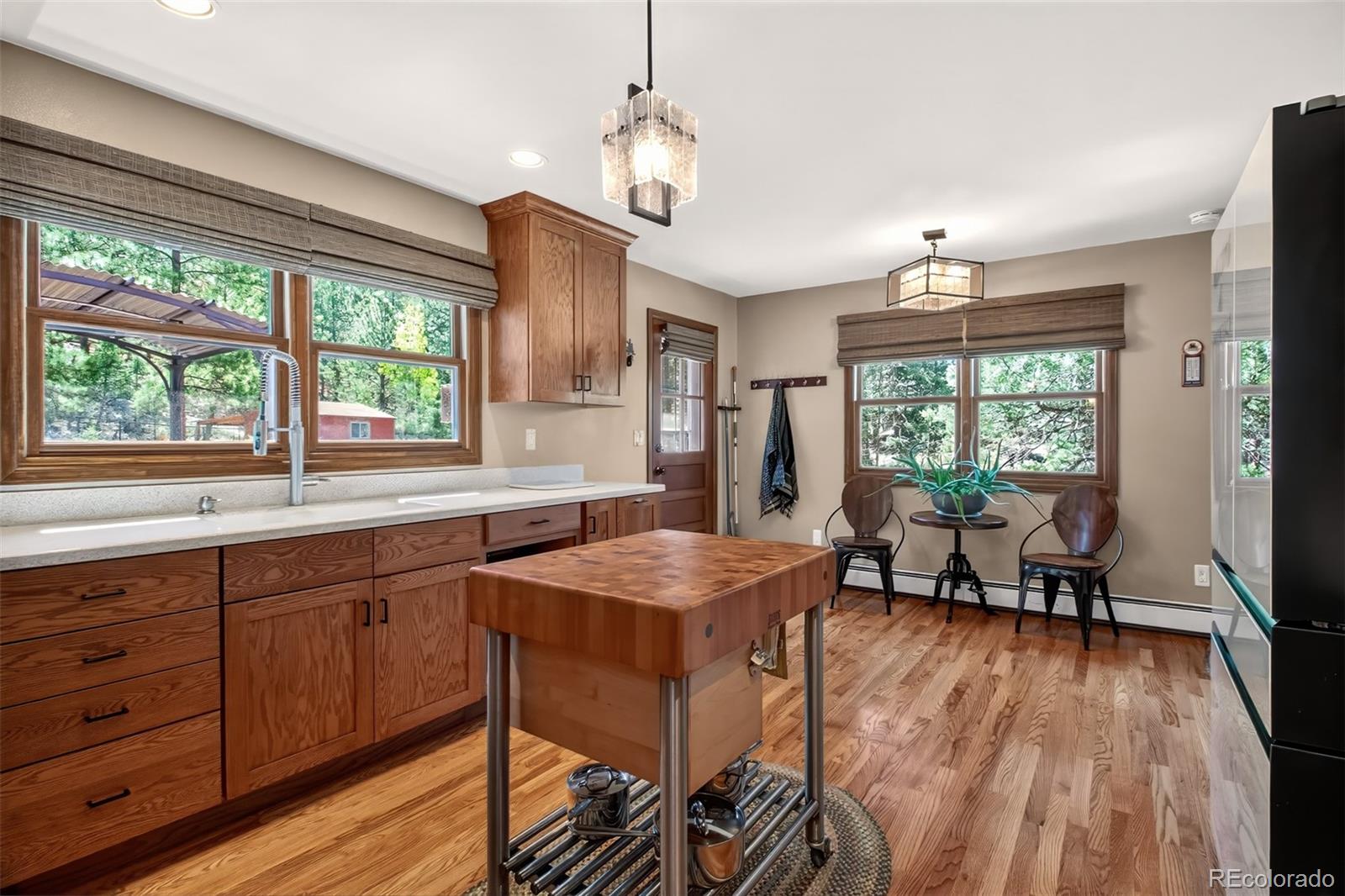 55 Ponderosa Lane Woodland Park CO 80863