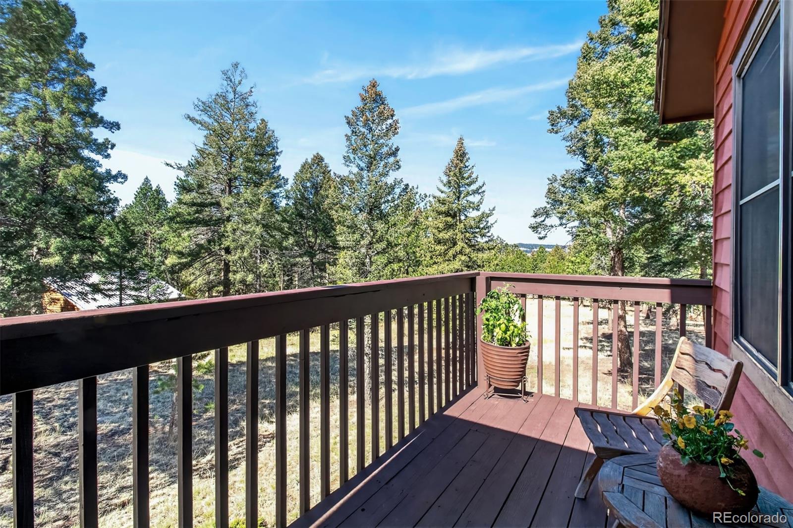 55 Ponderosa Lane Woodland Park CO 80863