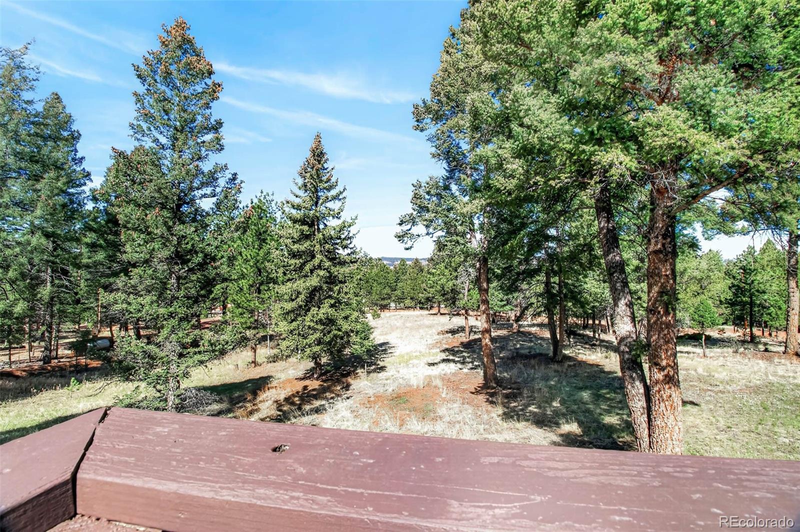55 Ponderosa Lane Woodland Park CO 80863