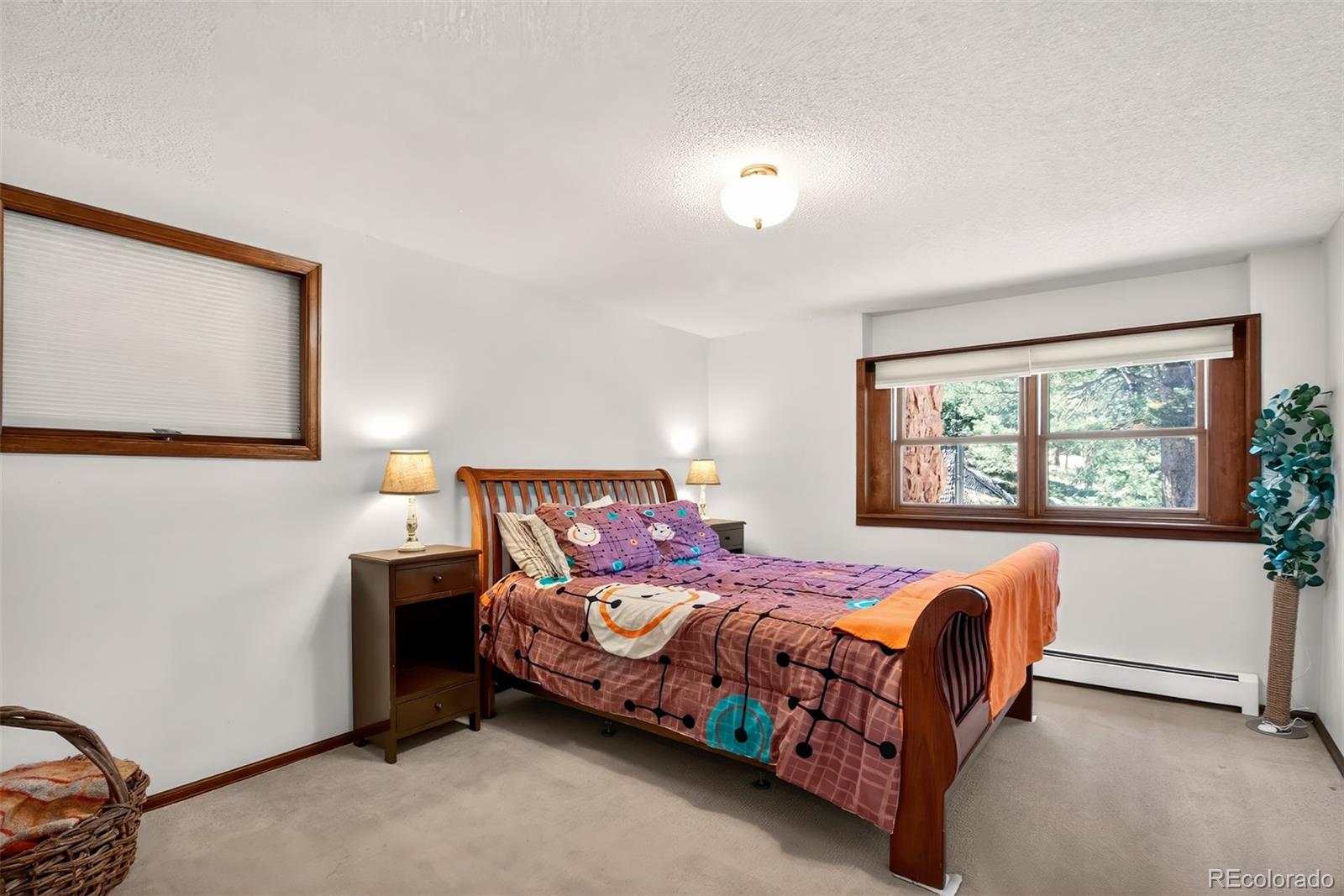 55 Ponderosa Lane Woodland Park CO 80863
