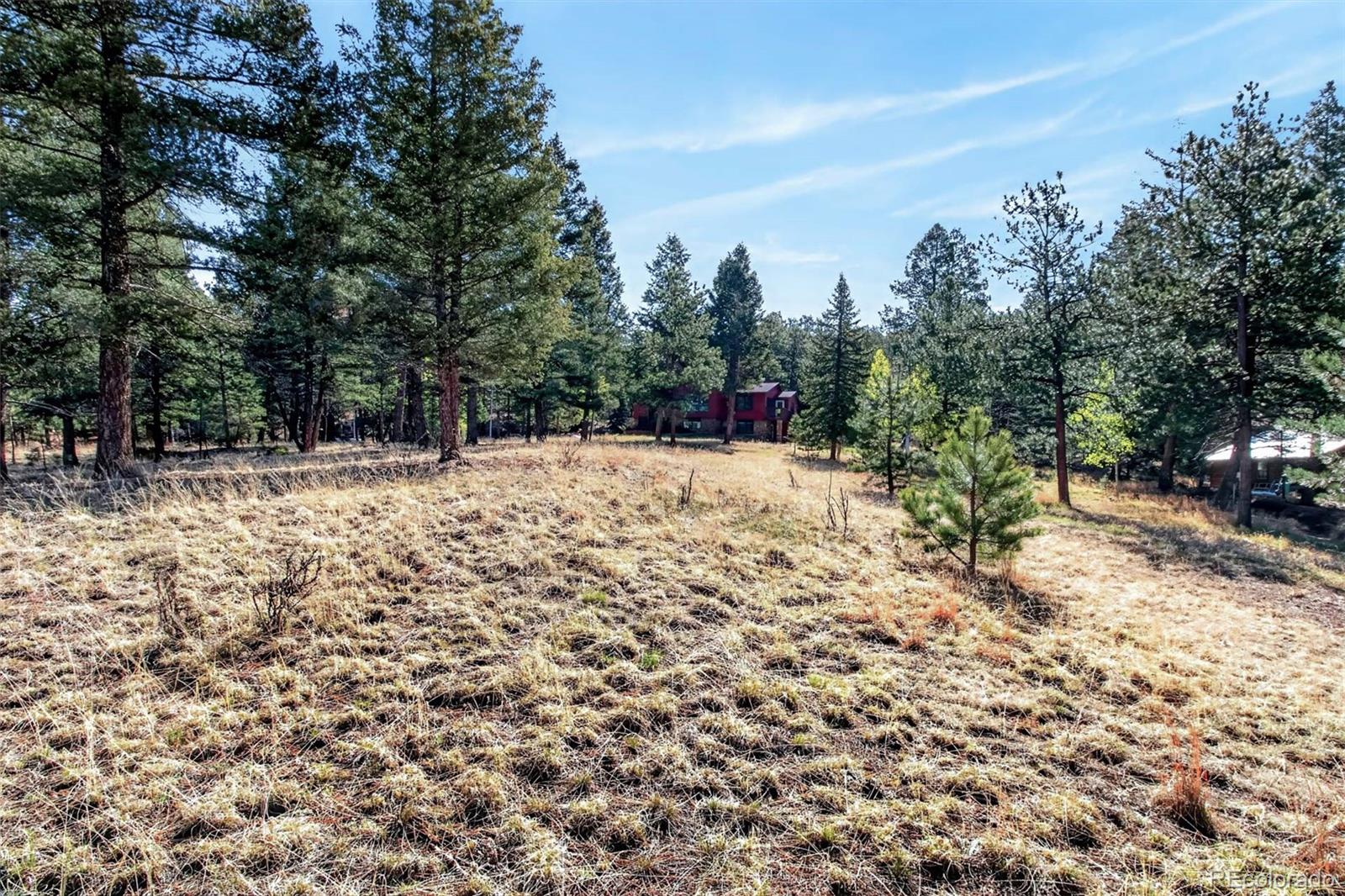 55 Ponderosa Lane Woodland Park CO 80863