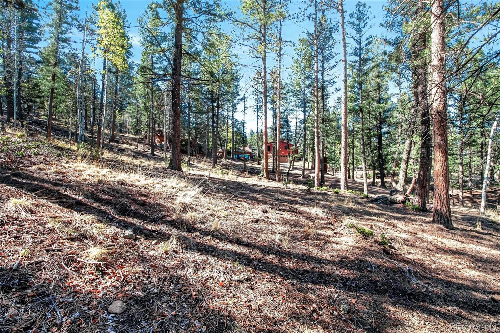 55 Ponderosa Lane Woodland Park CO 80863