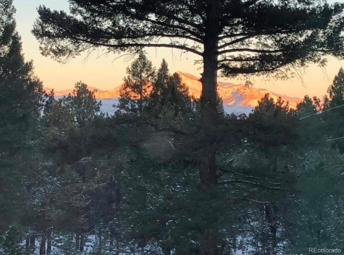 55 Ponderosa Lane Woodland Park CO 80863
