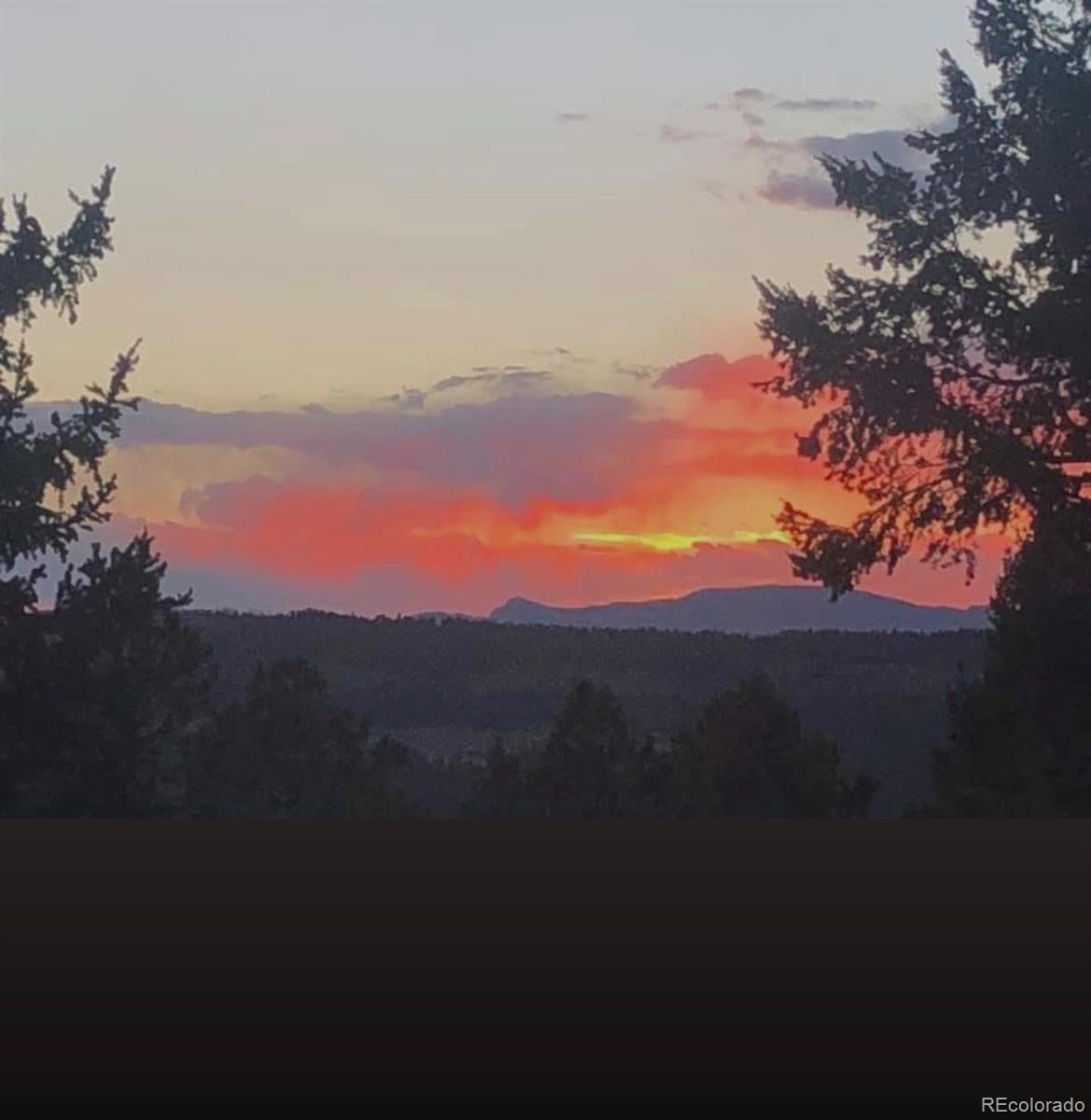 55 Ponderosa Lane Woodland Park CO 80863