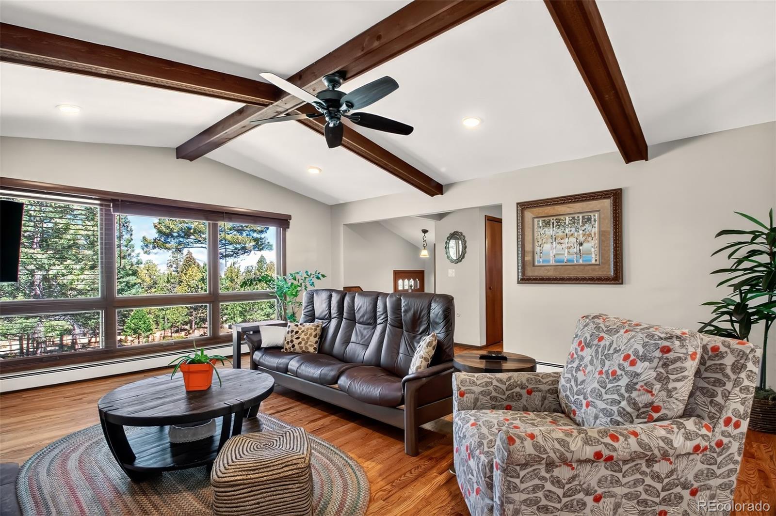 55 Ponderosa Lane Woodland Park CO 80863