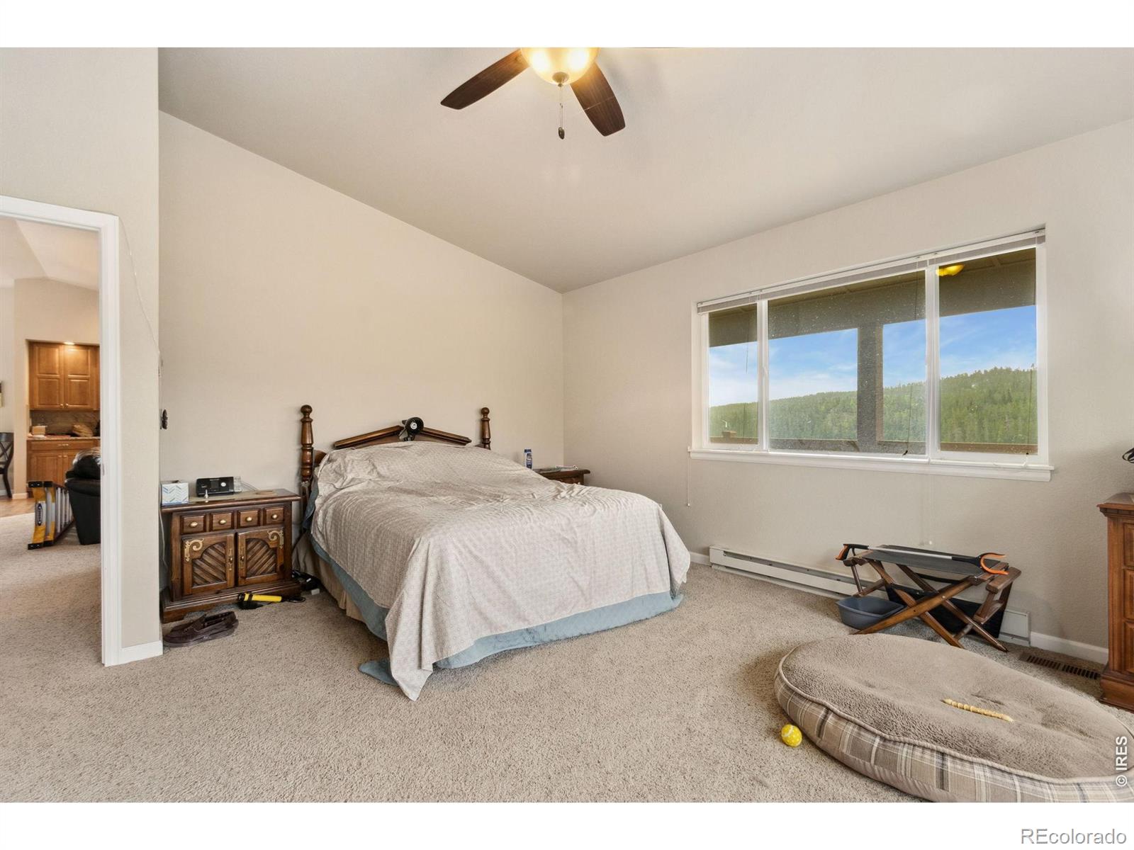 246 Nowata Drive Red Feather Lakes CO 80545