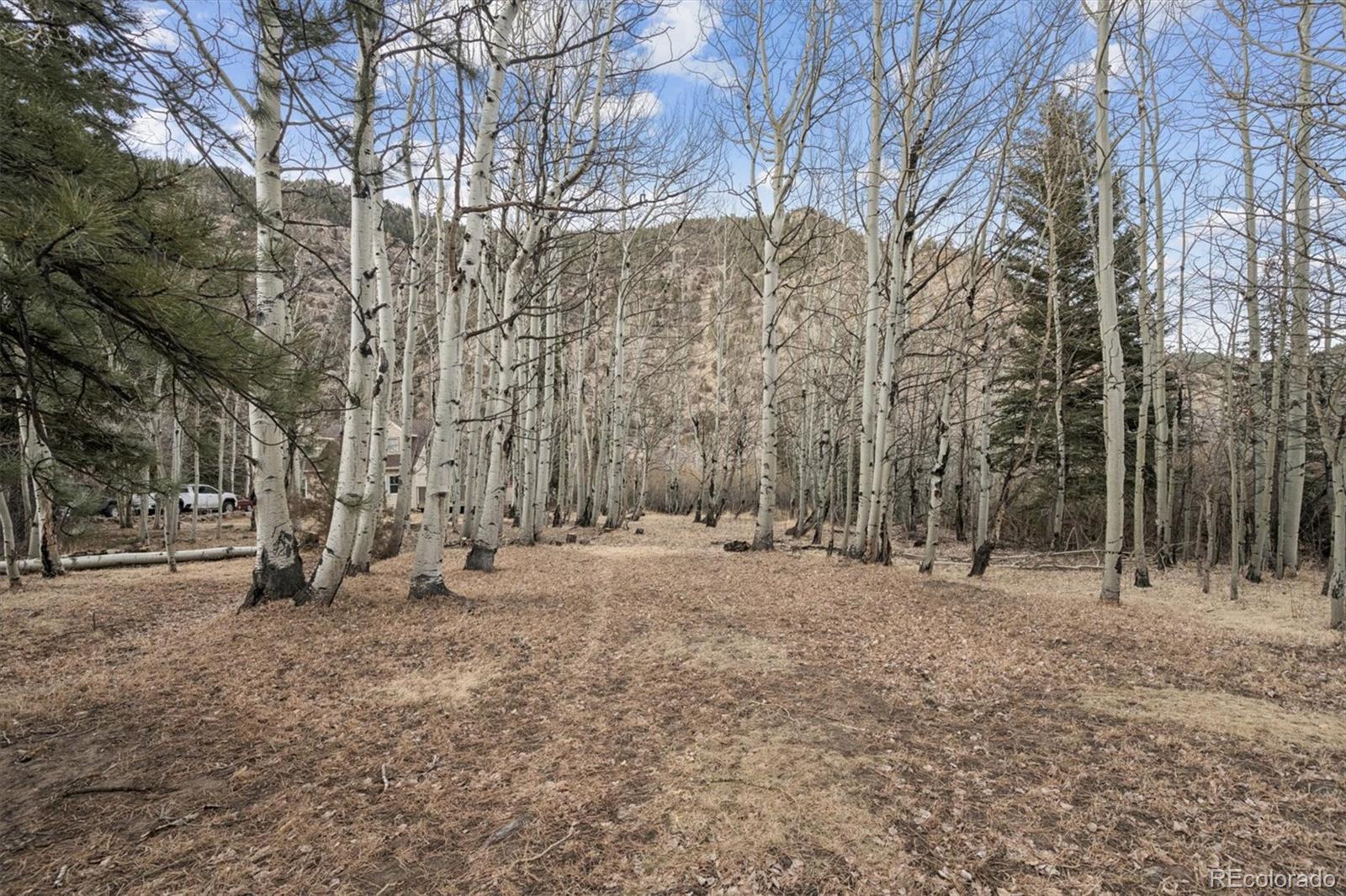 74 Silver Lode Circle Dumont CO 80436