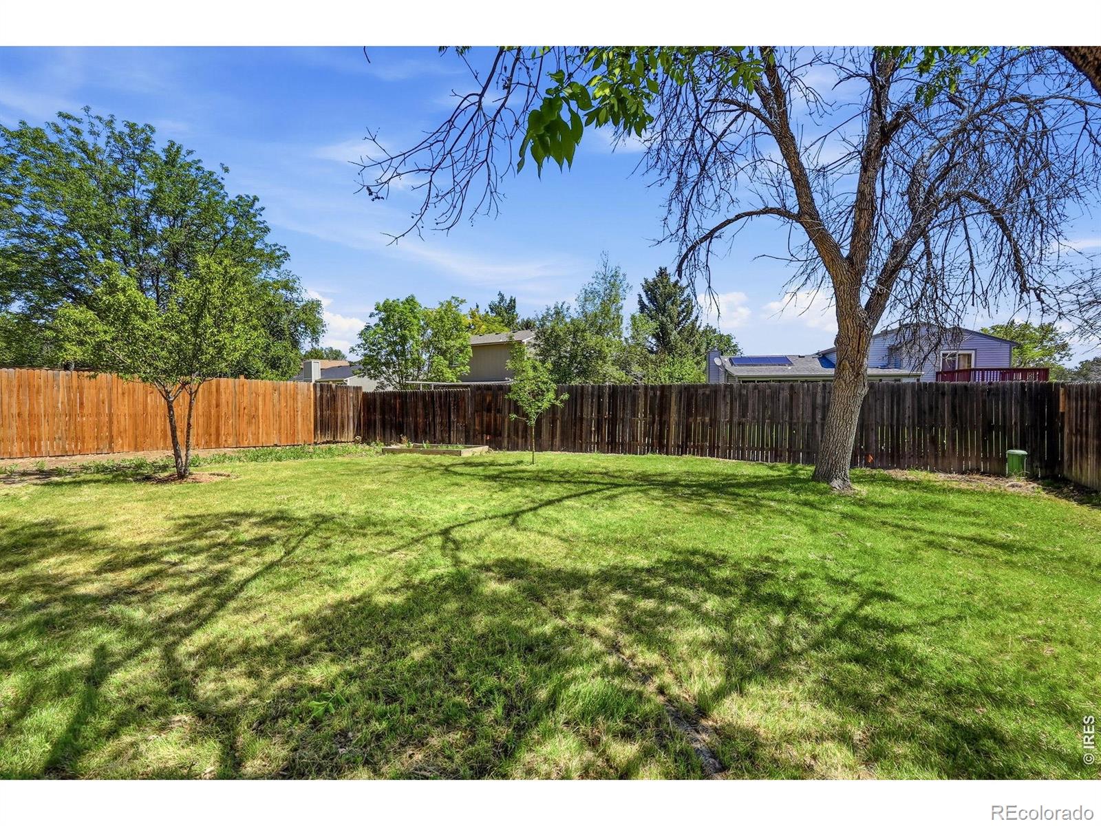 2412 Tulip Street Longmont CO 80501