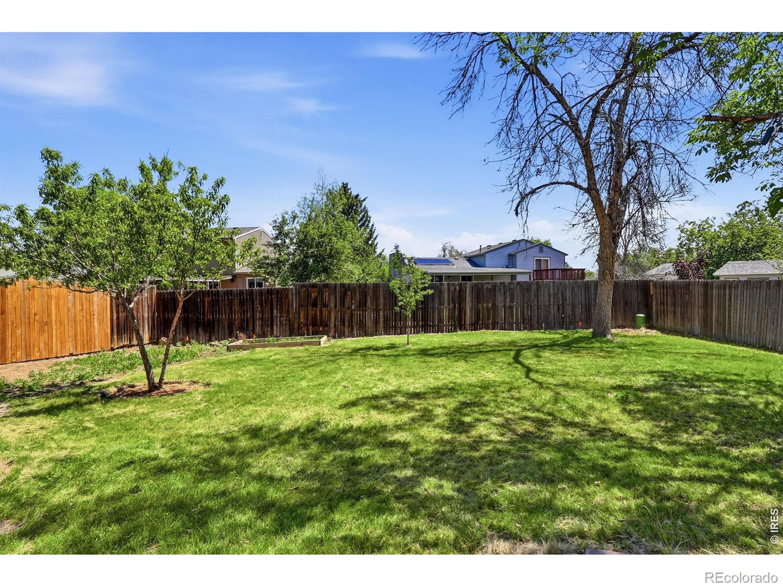 2412 Tulip Street Longmont CO 80501