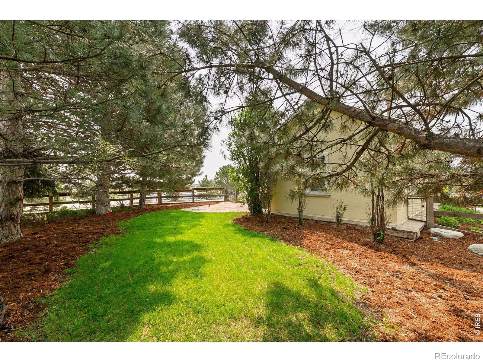 745 Jackson Court Windsor CO 80550
