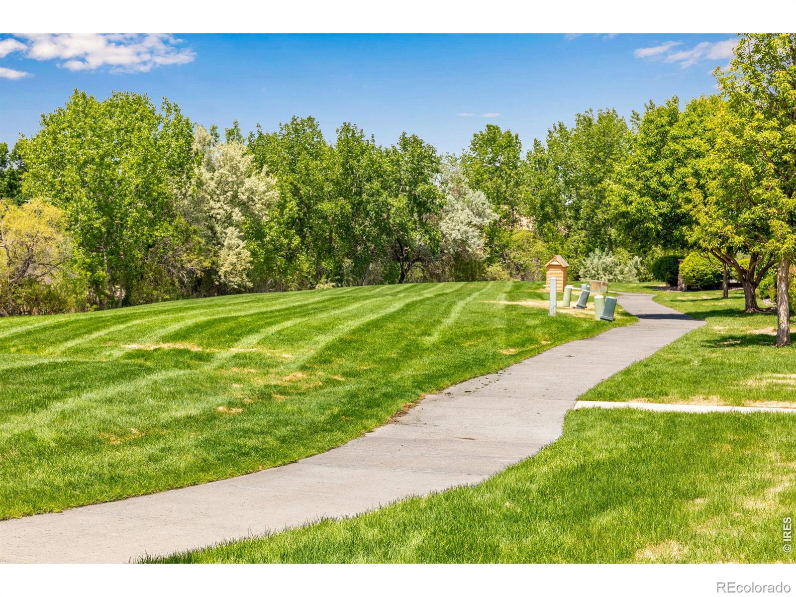 1503 Waterfront Drive Windsor CO 80550