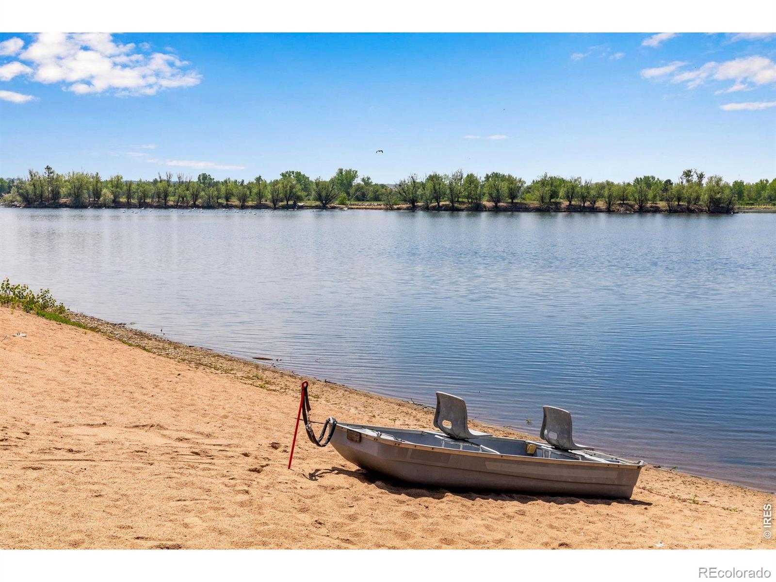 1503 Waterfront Drive Windsor CO 80550