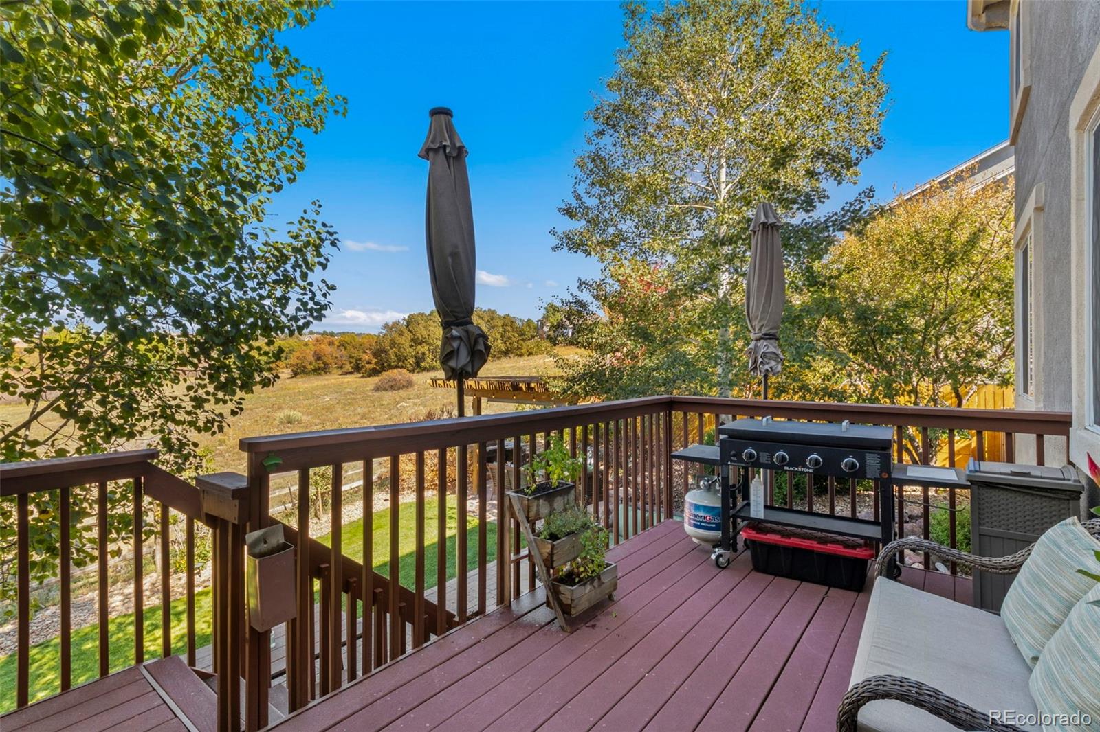 458 All Sky Drive Colorado Springs CO 80921