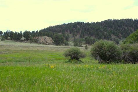 340 County Road 90 Lake George CO 80827