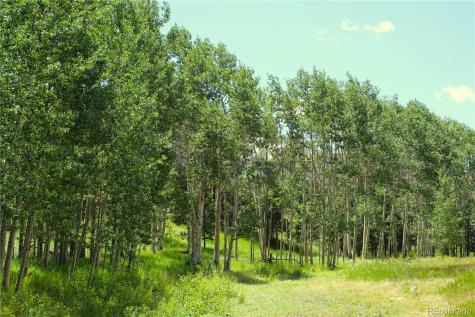 340 County Road 90 Lake George CO 80827