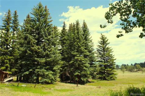 340 County Road 90 Lake George CO 80827