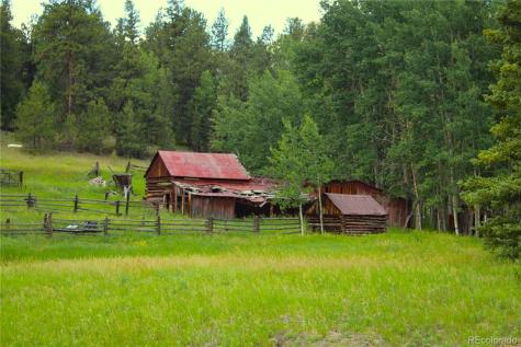 340 County Road 90 Lake George CO 80827