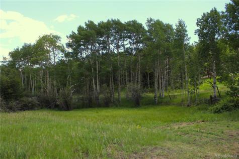 340 County Road 90 Lake George CO 80827