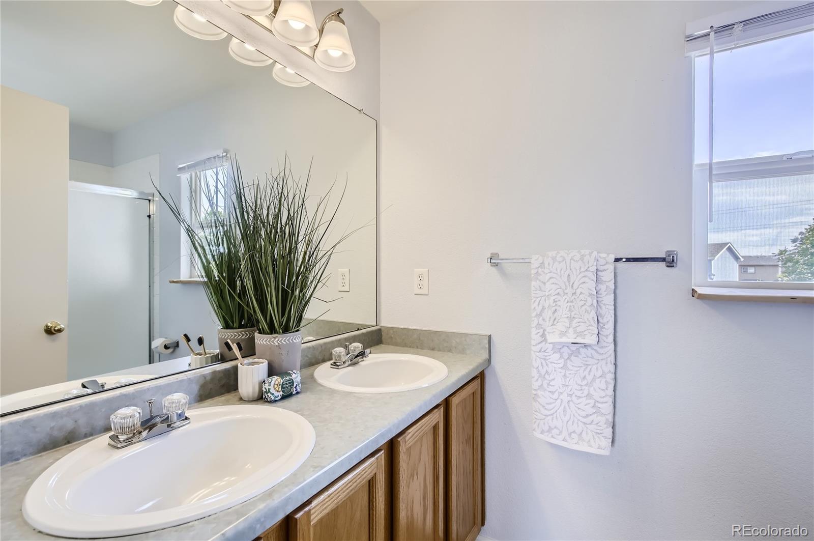 3732 Celtic Lane Fort Collins CO 80524