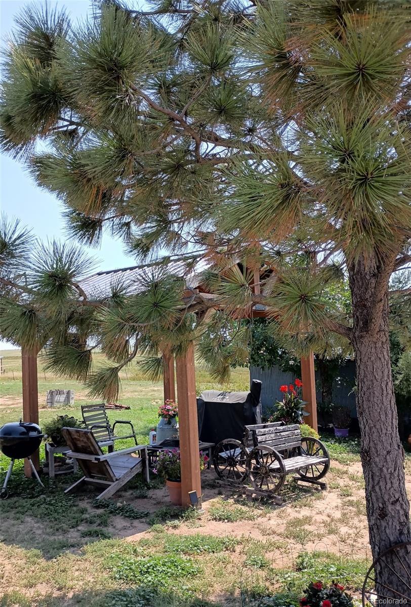 53647 County Road 36.4 Genoa CO 80818