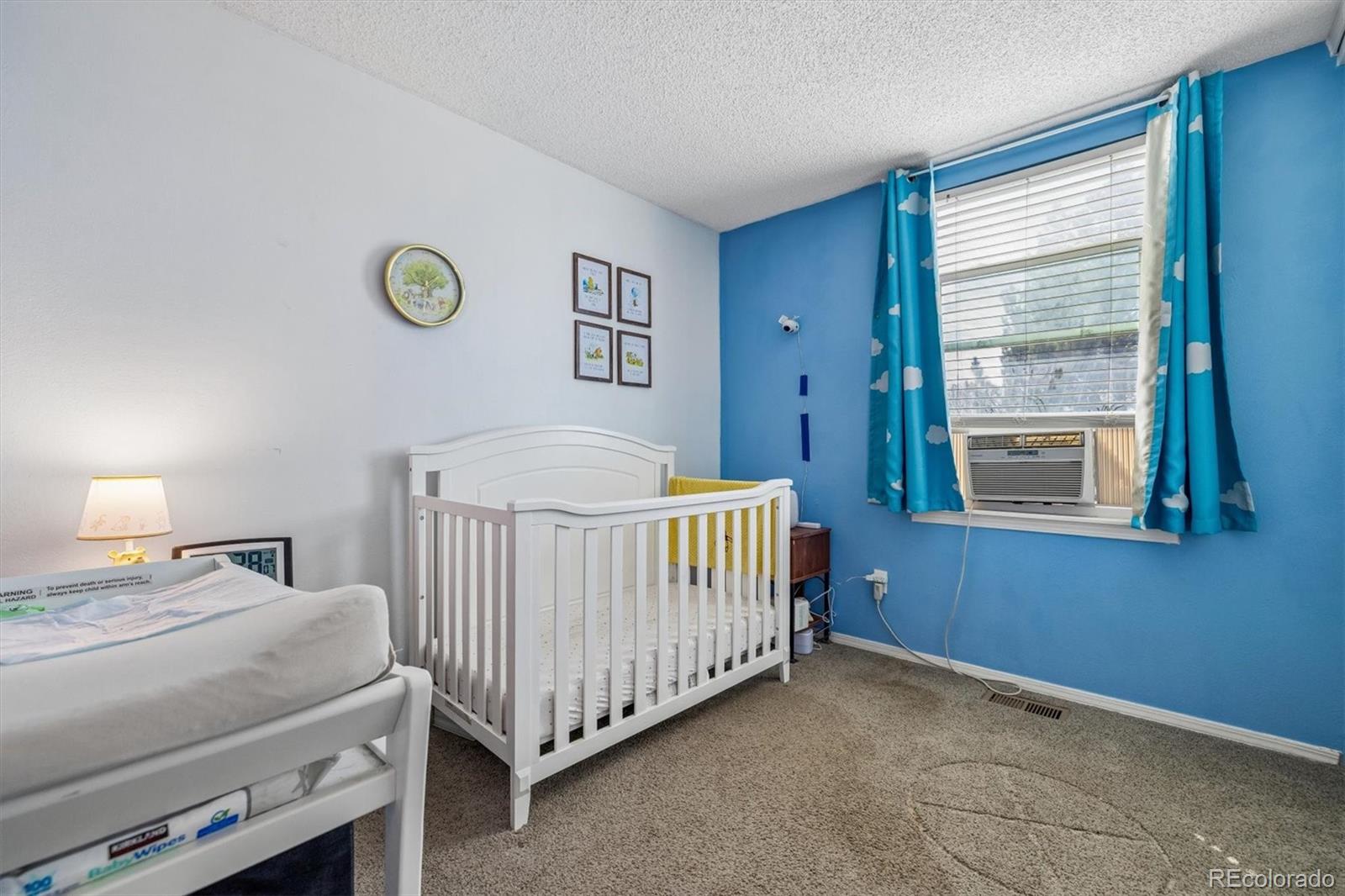 8434 Rabbitbrush Way Parker CO 80134