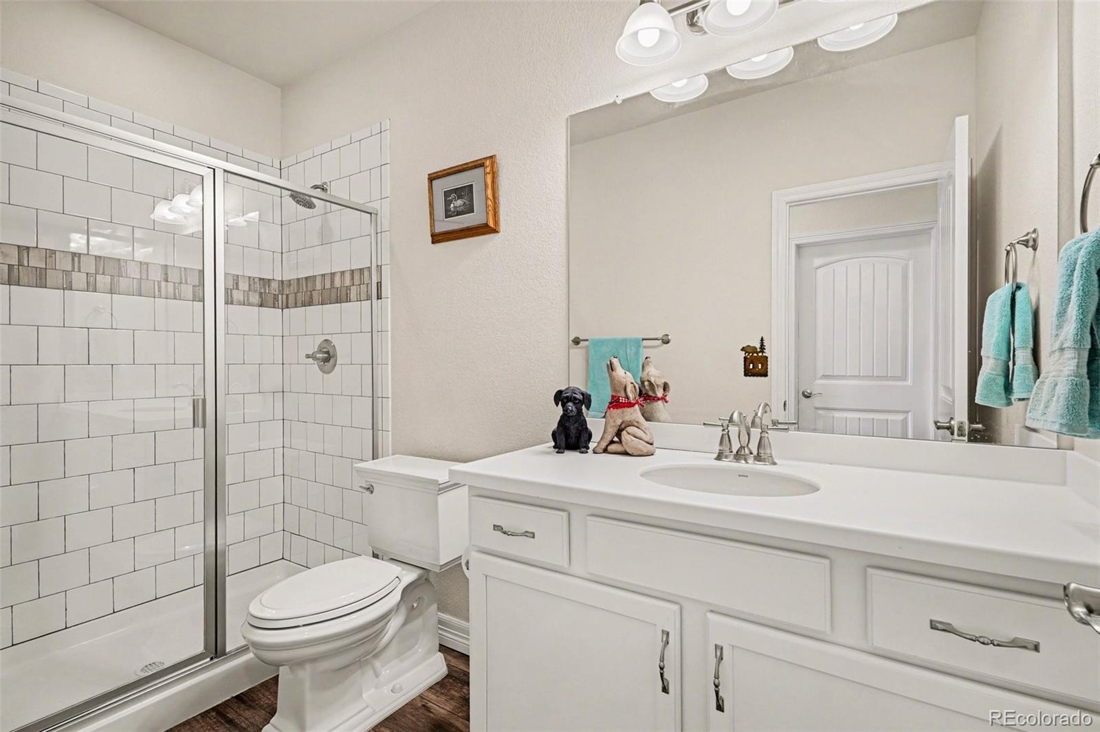 6142 Leilani Lane Castle Rock CO 80108