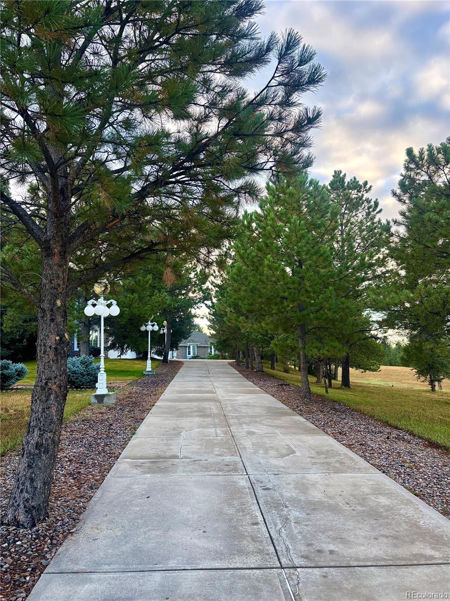 11421 Random Valley Circle Parker CO 80134