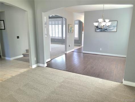 15362 Foxglove Court Parker CO 80134