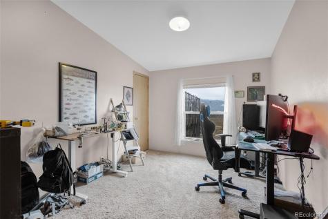 13939 Meadow Lane Buena Vista CO 81211