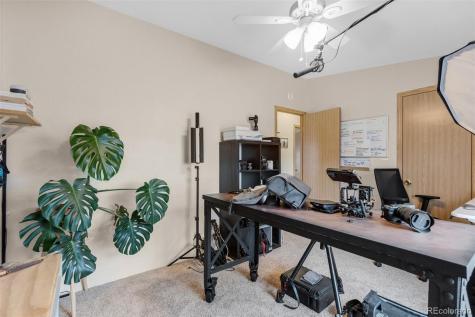 13939 Meadow Lane Buena Vista CO 81211