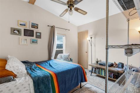 13939 Meadow Lane Buena Vista CO 81211