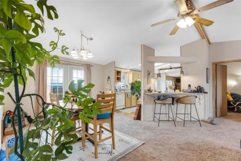 13939 Meadow Lane Buena Vista CO 81211
