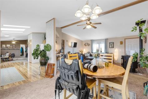 13939 Meadow Lane Buena Vista CO 81211