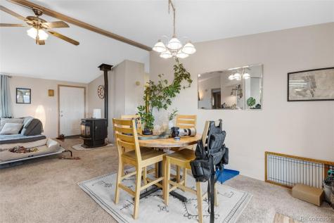 13939 Meadow Lane Buena Vista CO 81211