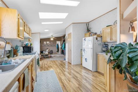 13939 Meadow Lane Buena Vista CO 81211