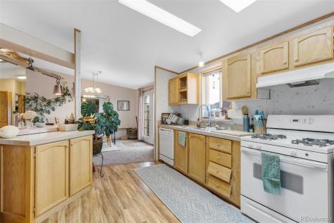 13939 Meadow Lane Buena Vista CO 81211