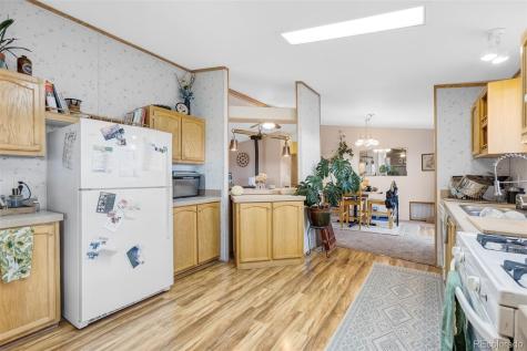 13939 Meadow Lane Buena Vista CO 81211