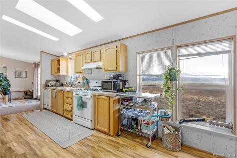 13939 Meadow Lane Buena Vista CO 81211