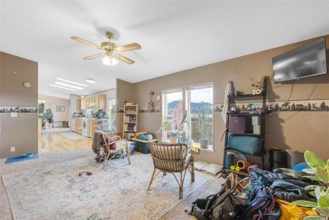 13939 Meadow Lane Buena Vista CO 81211