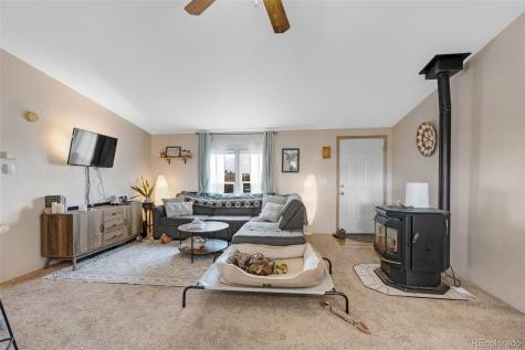 13939 Meadow Lane Buena Vista CO 81211