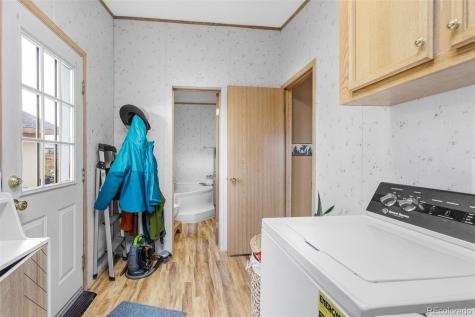 13939 Meadow Lane Buena Vista CO 81211