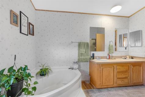 13939 Meadow Lane Buena Vista CO 81211