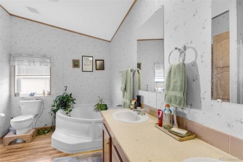 13939 Meadow Lane Buena Vista CO 81211