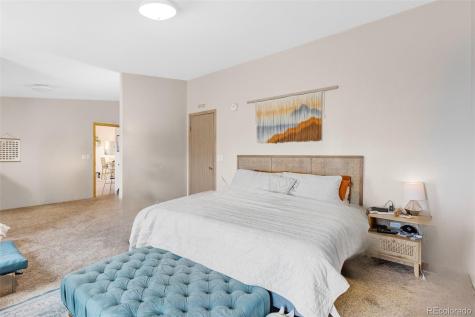 13939 Meadow Lane Buena Vista CO 81211