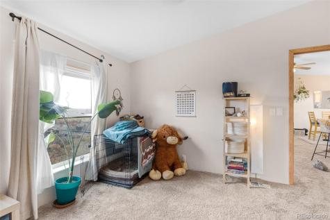 13939 Meadow Lane Buena Vista CO 81211