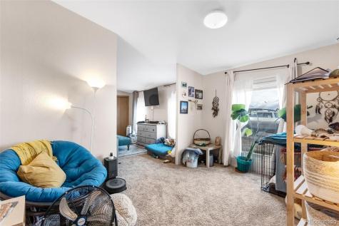 13939 Meadow Lane Buena Vista CO 81211