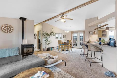 13939 Meadow Lane Buena Vista CO 81211