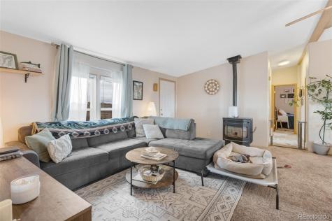 13939 Meadow Lane Buena Vista CO 81211