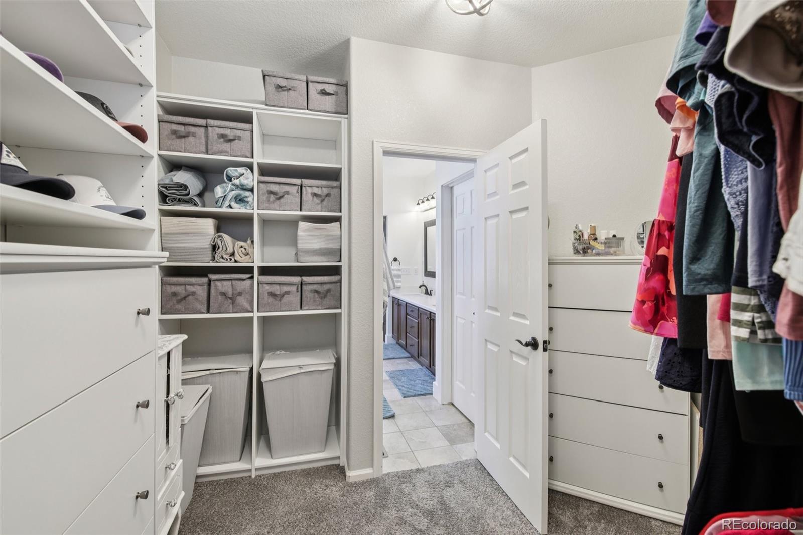 21537 E Stroll Avenue Parker CO 80138