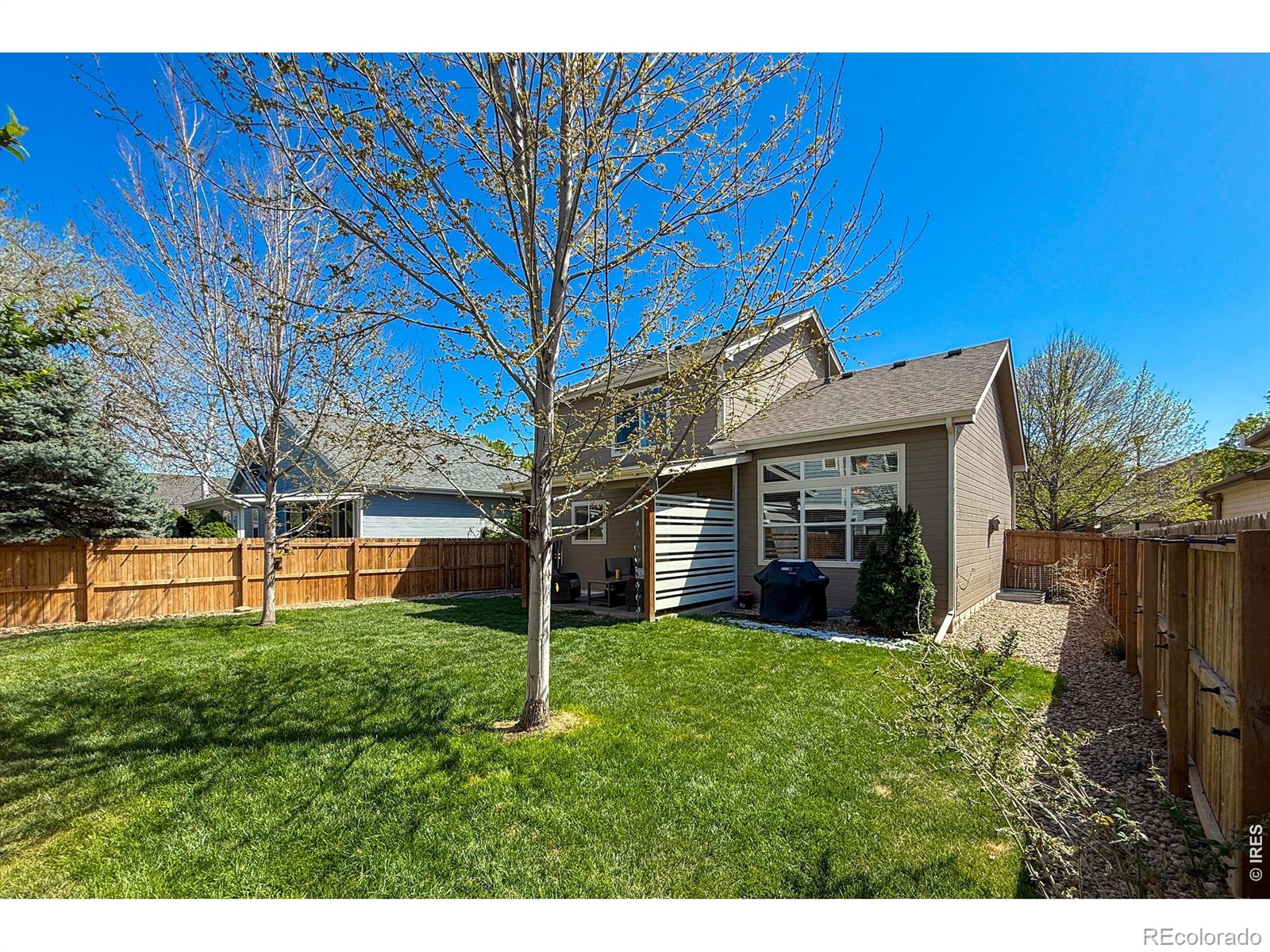 1855 E 135th Avenue Thornton CO 80241